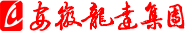 安徽龍達集團股份有限公司